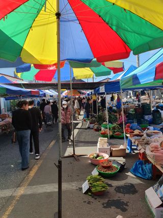 작은소나무님의 자유주제 · 자유게시판 작성글 사진