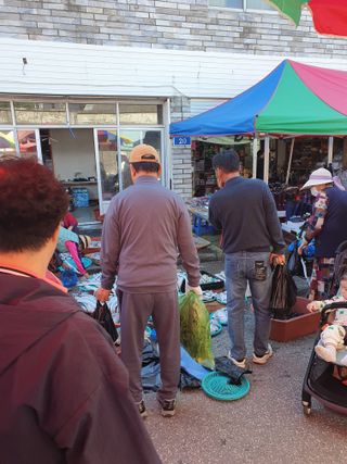 작은소나무님의 자유주제 · 자유게시판 작성글 사진