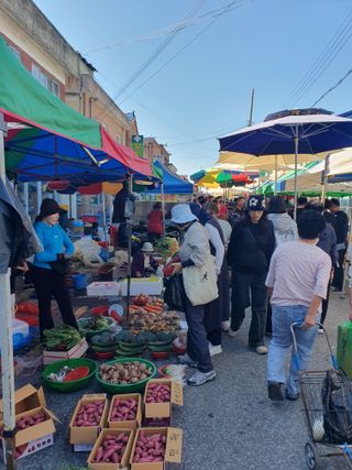 작은소나무님의 자유주제 · 자유게시판 작성글 사진
