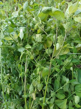 윤무섭님의 자유주제 · 자유게시판 작성글 사진