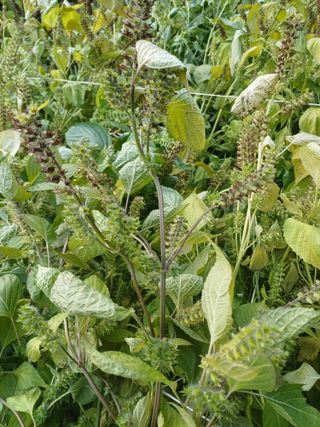 윤무섭님의 자유주제 · 자유게시판 작성글 사진