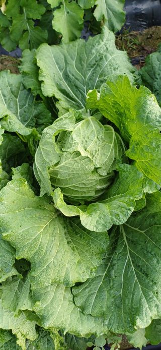 이강재님의 자유주제 · 자유게시판 작성글 사진