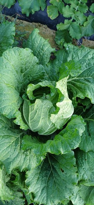 이강재님의 자유주제 · 자유게시판 작성글 사진