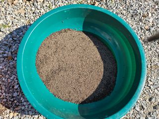 경달현님의 들깨 · 영농일지 작성글 사진