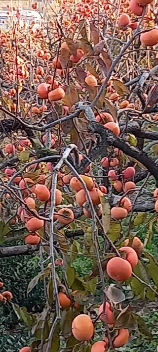 ckc2280님의 자유주제 · 자유게시판 작성글 사진