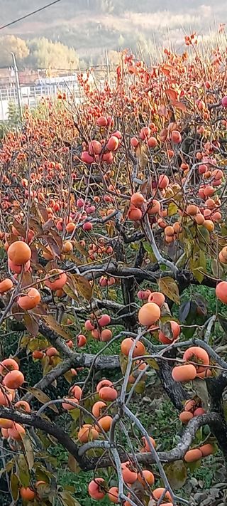 ckc2280님의 자유주제 · 자유게시판 작성글 사진