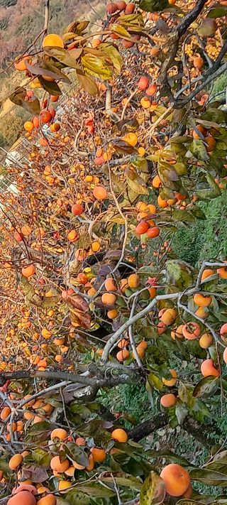 ckc2280님의 자유주제 · 자유게시판 작성글 사진