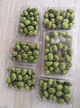 팜모닝 기타작물·영농일지 게시글 이미지