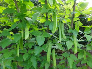 김선희님의 작성글 사진