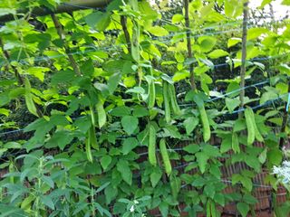 김선희님의 작성글 사진