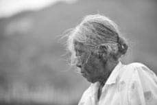 손병만님의 자유주제 · 자유게시판 작성글 사진