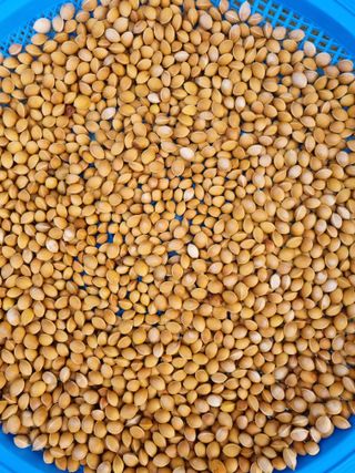 손병만님의 자유주제 · 자유게시판 작성글 사진