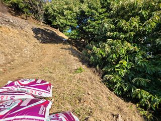 홍가네수정농장님의 기타작물 · 영농일지 작성글 사진