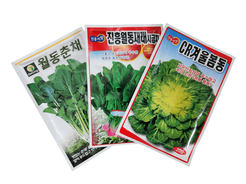 안산제일농약사님의 장터 판매 상품 [겨울봄동 월동재래시금치 월동춘채] 첨부 사진