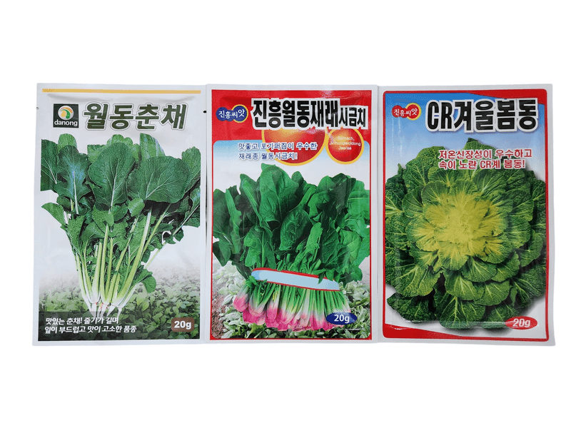 안산제일농약사님의 장터 판매 상품 [겨울봄동 월동재래시금치 월동춘채] 첨부 사진