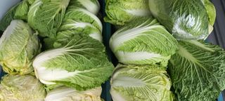 강정순님의 자유주제 · 자유게시판 작성글 사진