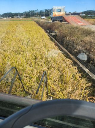 나종천님의 벼 · 영농일지 작성글 사진