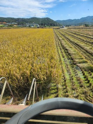나종천님의 벼 · 영농일지 작성글 사진