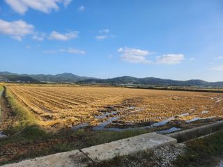 나종천님의 벼 · 영농일지 작성글 사진