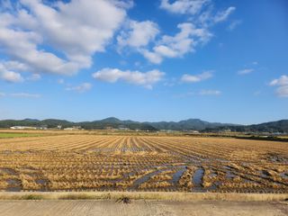 나종천님의 벼 · 영농일지 작성글 사진