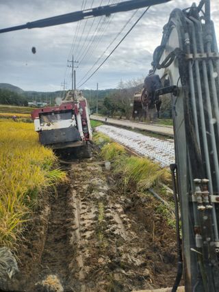 나종천님의 벼 · 영농일지 작성글 사진