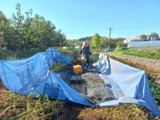 유일기님의 자유주제 · 자유게시판 작성글 사진
