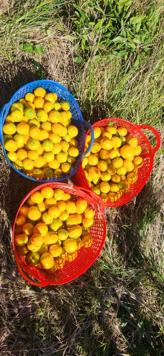 김경희님의 작성글 사진