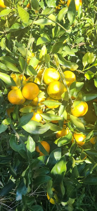 김경희님의 작성글 사진