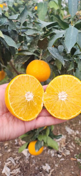 김경희님의 작성글 사진