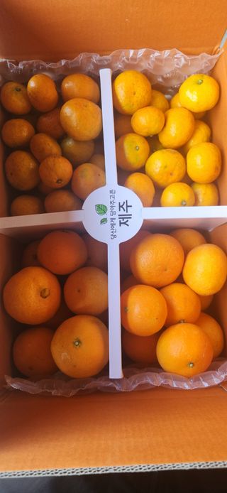 김경희님의 작성글 사진