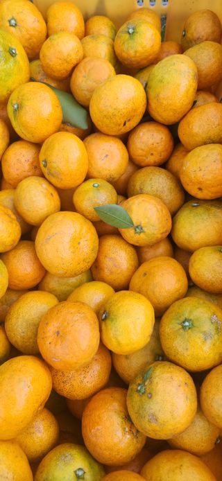 김경희님의 작성글 사진