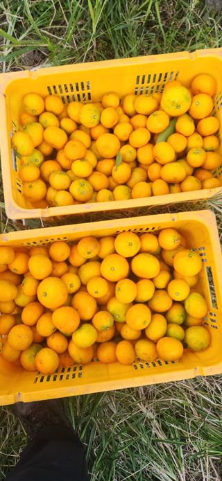 김경희님의 작성글 사진