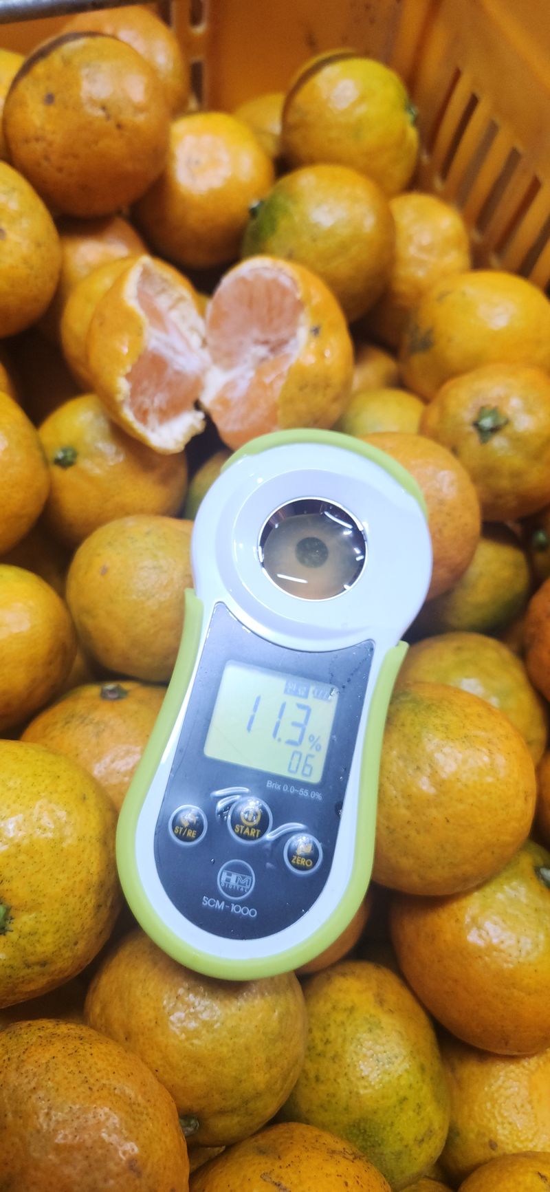 김경희님의 장터 판매 상품 [제주도노지감귤과 하우스황금향 5키로,10키로] 첨부 사진