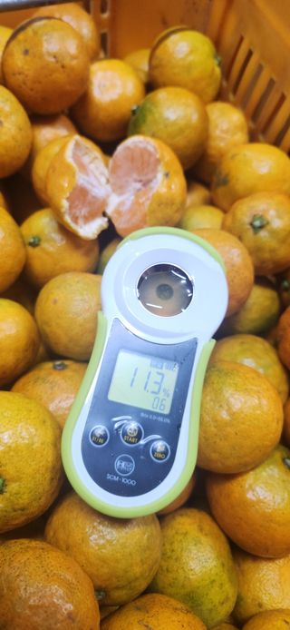 김경희님의 작성글 사진