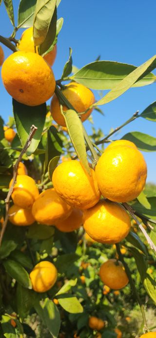 김경희님의 작성글 사진