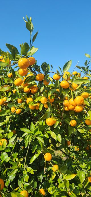 김경희님의 작성글 사진