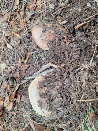 조재덕님의 자유주제 · 자유게시판 작성글 사진