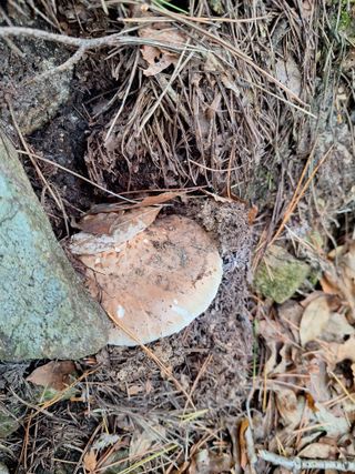 조재덕님의 자유주제 · 자유게시판 작성글 사진