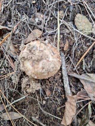 조재덕님의 자유주제 · 자유게시판 작성글 사진
