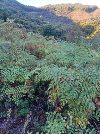 무료지식나눔 팜닥터님의 자유주제 · 자유게시판 작성글 사진