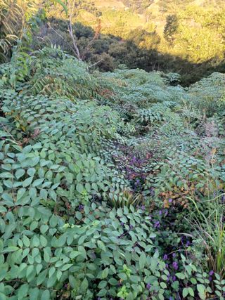 무료지식나눔 팜닥터님의 자유주제 · 자유게시판 작성글 사진