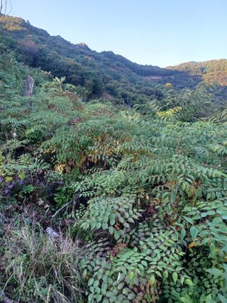 무료지식나눔 팜닥터님의 자유주제 · 자유게시판 작성글 사진