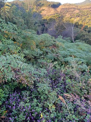 무료지식나눔 팜닥터님의 자유주제 · 자유게시판 작성글 사진