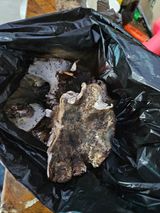 팜모닝 자유주제·자유게시판 게시글 이미지