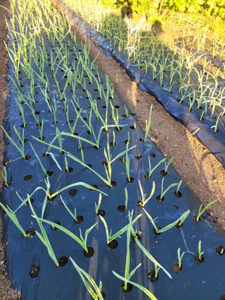 정소망님의 자유주제 · 자유게시판 작성글 사진