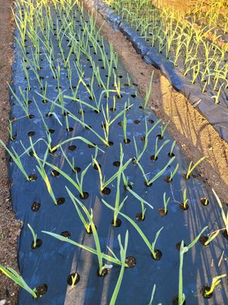 정소망님의 자유주제 · 자유게시판 작성글 사진