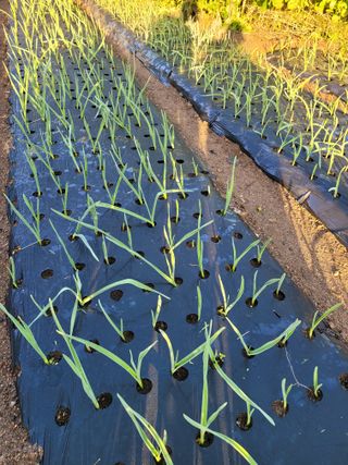 정소망님의 자유주제 · 자유게시판 작성글 사진