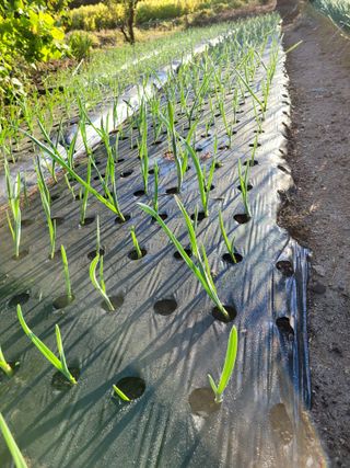 정소망님의 자유주제 · 자유게시판 작성글 사진