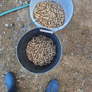 이창화님의 자유주제 · 자유게시판 작성글 사진