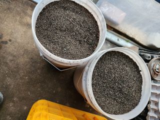 이창우님의 들깨 · 영농일지 작성글 사진